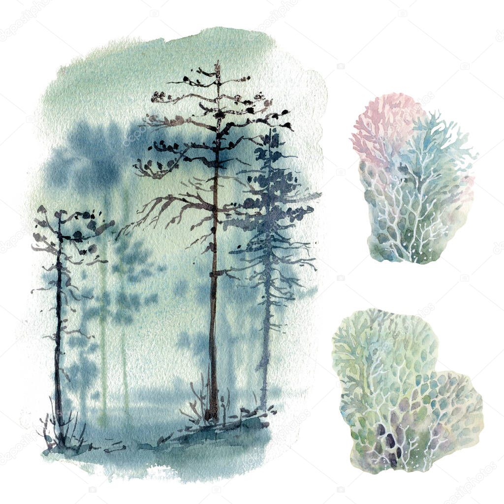 Watercolor moss illustrations set. Forest, wildlife, siberia, taiga.
