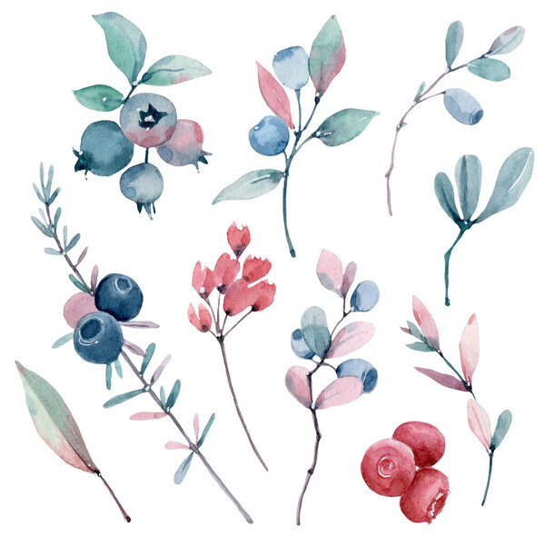 watercolor berries and leaves set. Herfect for cards, invitations, pack, poster