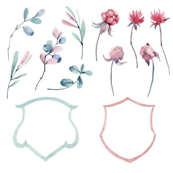Illustrazione Acquerello Con Bacche Foglie Piante Bacche Nordiche Cloudberry — Foto Stock