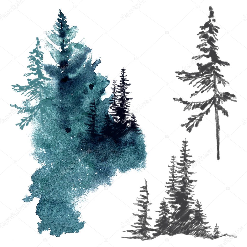 Wtarcolor trees and forest illustration. Siberai, Canada, Finland, nordic. Forest landscape.