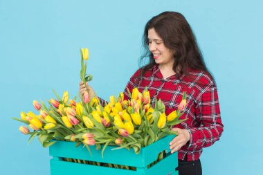 Mavi arka plan üzerinde sarı laleler büyük kutu ile genç kadın çiçekçi