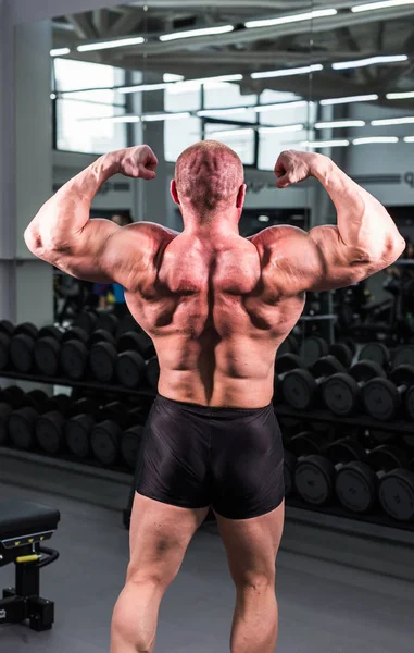 Bodybuilder in the gym — Stock Photo, Image