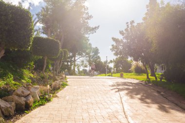 Yakışıklı genç adam Bisiklet ve kask Park güneşli