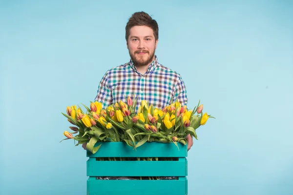 Cheerful handsome man florist holding box of tulips on blue background — Stock Photo, Image