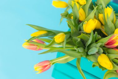 Kırmızı, sarı laleler kutusunda resmini