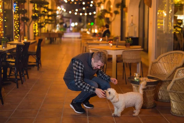 애완 동물 소유자와 사람들 개념-밤 거리에 그의 강아지와 함께 산책 젊은 남자. — 스톡 사진