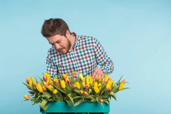 Guapo jardinero blanco haciendo un ramo de tulipanes en estudio azul . — Foto de Stock