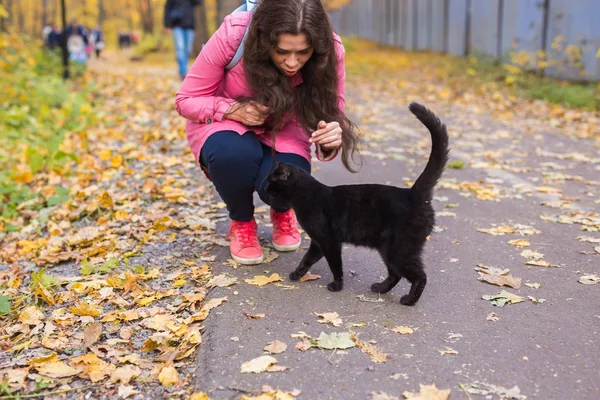 Haustiere und Menschen - junge Frau streichelt die schwarze Katze im Herbstpark — Stockfoto