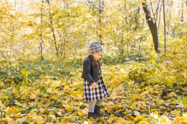 Çocuklar, düşmek, millet kavramı - sonbahar Park'ta yürüyordunuz ve sarı yaprakların tutmak genç çocuk