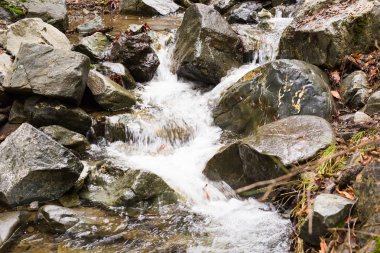 Kayalar ve Kıbrıs Troodos Dağları yapraklarda sonbahar şelale