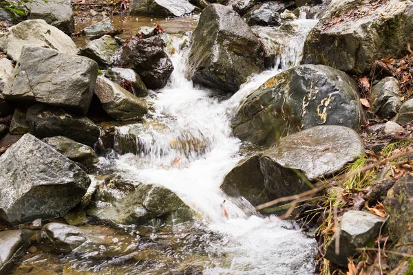 Kayalar ve Kıbrıs Troodos Dağları yapraklarda sonbahar şelale