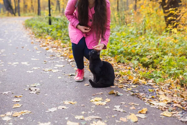 Haustiere und Menschen - junge Frau streichelt die schwarze Katze im Herbstpark — Stockfoto