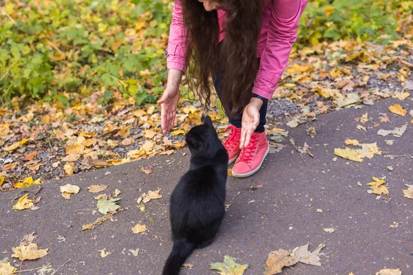 Haustiere, Herbst und Menschen Konzept - Nahaufnahme einer Frau fand die schwarze Katze — Stockfoto