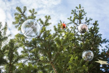 Tatil ve dekorasyon konsepti - açık dallarında topa Noel