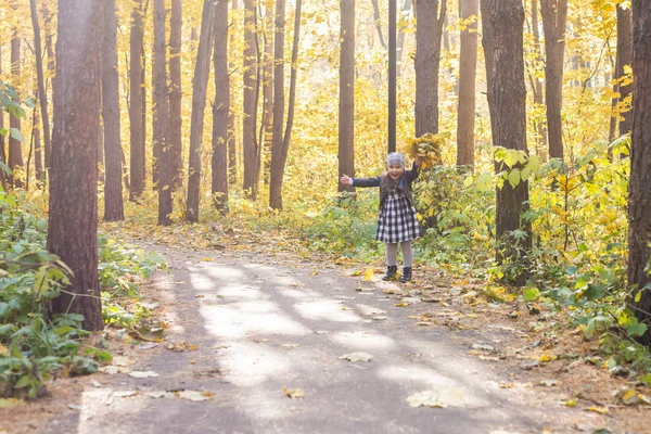 Niños, caída, concepto de personas - niño pequeño caminando en el parque de otoño y manteniendo hojas amarillas —  Fotos de Stock