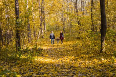 kişi, Aile ve eğlence kavramı - sonbahar Park'ta yürüyordunuz kızı ile mutlu aile