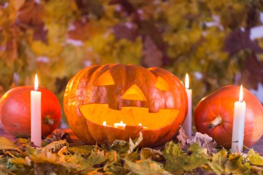 Cadılar Bayramı balkabağı fener kuru yapraklar ve mum