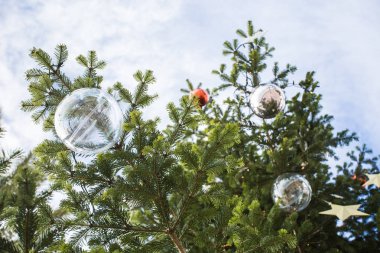 Tatil ve dekorasyon konsepti - açık dallarında topa Noel