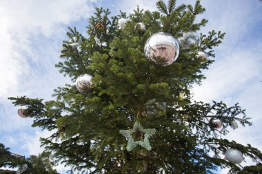 Tatil ve dekorasyon konsepti - açık dallarında topa Noel