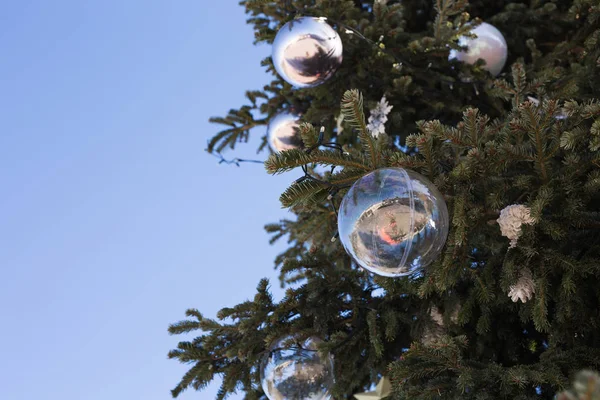 Tatil ve dekorasyon konsepti - açık dallarında topa Noel