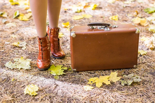 Maleta vintage de pie sobre hojas caídas de otoño — Foto de Stock