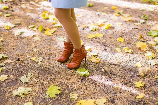 Осінній стиль. Жіночі ноги в стильних модних черевиках, зовнішнє золоте листя — стокове фото