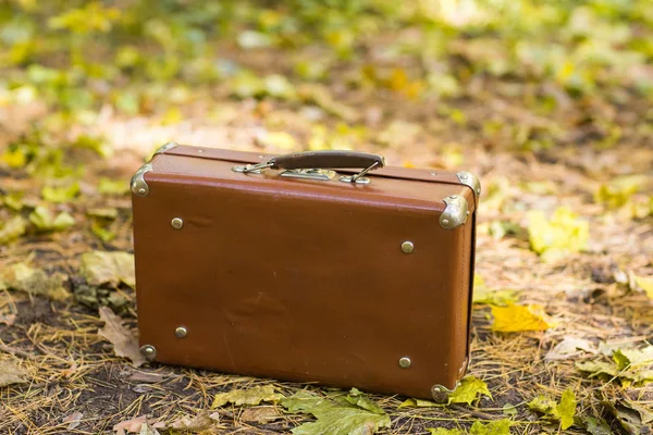 Valise rétro debout sur les feuilles tombées dans le parc d'automne — Photo