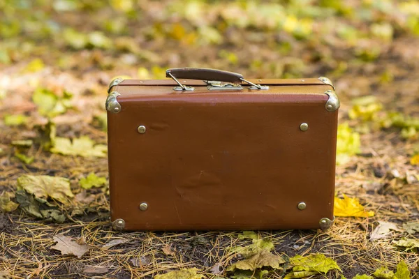 Retro koffer staande op de gevallen bladeren in de herfst park — Stockfoto