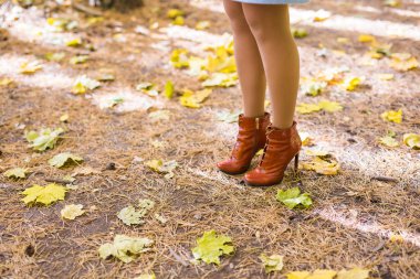 Bacaklar sonbahar yaprakları üzerinde deri çizmeli. Ayak ayakkabı doğada yürüyüş.