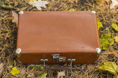 Vintage çanta ayakta üstüne düşen sonbahar yaprakları