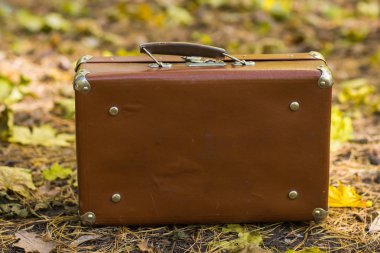 Vintage çanta ayakta üstüne düşen sonbahar yaprakları