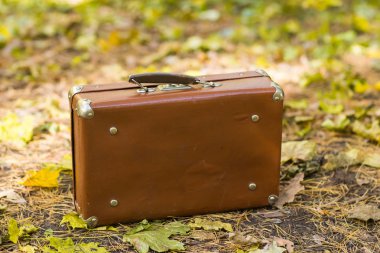 Vintage çanta ayakta üstüne düşen sonbahar yaprakları