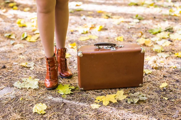 Maleta retro de pie sobre hojas caídas en el parque de otoño — Foto de Stock