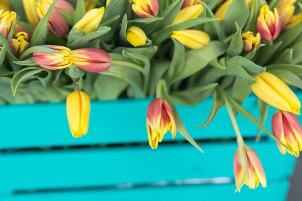 Primer plano de caja de madera turquesa con tulipanes amarillos sobre fondo azul —  Fotos de Stock