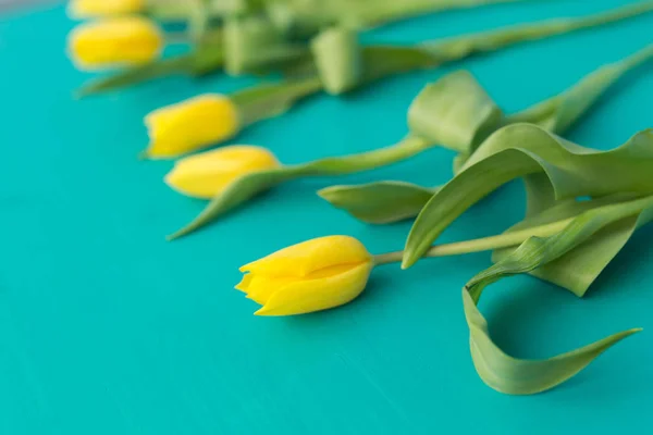 Концепция флористики, праздников и оформления - Крупный план желтых тюльпанов, лежащих на синем фоне — стоковое фото