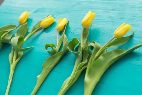 Природа, праздники и цветочная концепция - желтые тюльпаны на бирюзовом фоне — стоковое фото