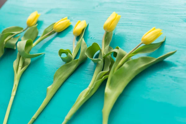 自然と休日と花コンセプト - 青緑色の背景に美しい黄色のチューリップ — ストック写真