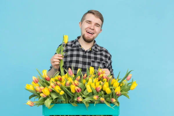 Bonito jardineiro caucasiano masculino fazendo um buquê de tulipas em estúdio azul . — Fotografia de Stock