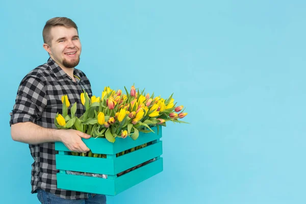 Jardineiro masculino caucasiano com caixa de tulipas rindo em fundo azul com espaço de cópia — Fotografia de Stock
