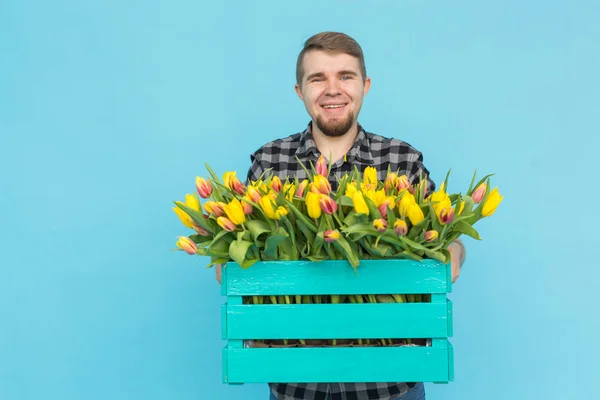 Jardineiro masculino caucasiano com caixa de tulipas rindo em fundo azul — Fotografia de Stock