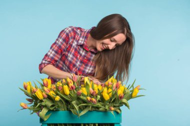 Büyük kutu mavi zemin üzerine sarı laleler ile genç kadın çiçekçi