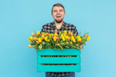 Lale mavi zemin üzerine kutu holding neşeli yakışıklı adam çiçekçi