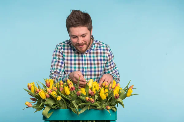 Cheerful handsome man florist with box of tulips on blue background — Stock Photo, Image