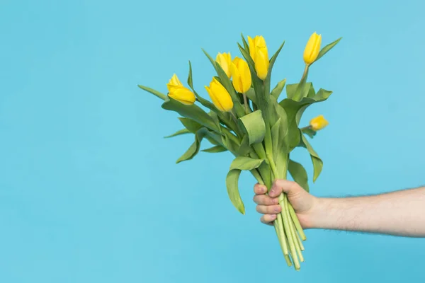 Манс протягивает пучок желтых тюльпанов на синем фоне с пространством для копирования — стоковое фото