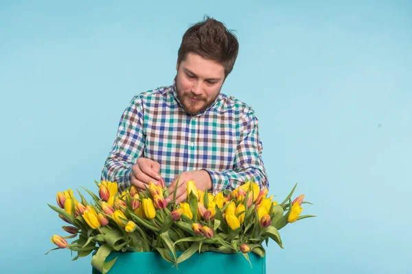 Guapo caucásico jardinero masculino haciendo un ramo de tulipanes en estudio azul . — Foto de Stock