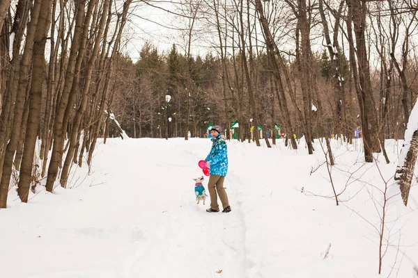 Propietario de mascotas y concepto de invierno - Mujer de mediana edad jugando con su perro jack russell terrier en el parque cubierto de nieve . — Foto de Stock