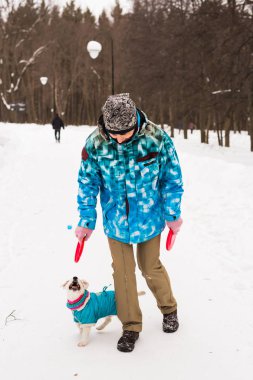 Jack Russell Terrier. Kış parkta oynayan köpek. Evde beslenen hayvan kavramı.