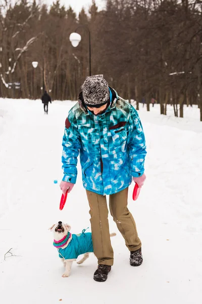 Джек Рассел Терьер. Собака играет в зимнем парке. Концепция домашних животных . — стоковое фото