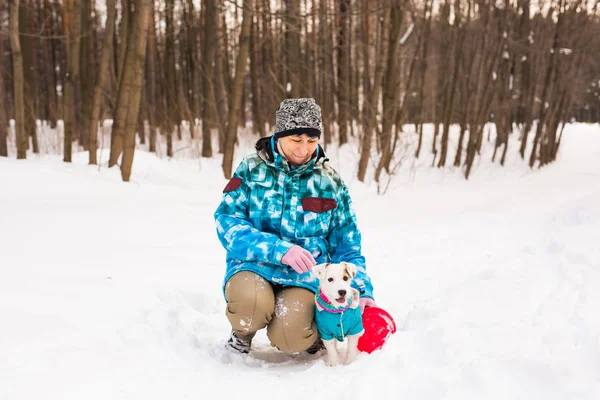 Jack Russell Terrier cão com proprietário mulher jogando no inverno ao ar livre . — Fotografia de Stock