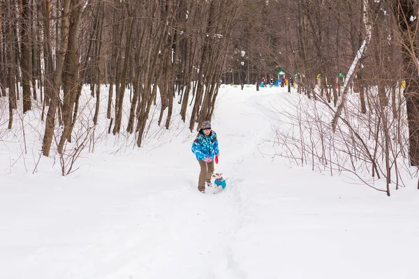 Propietario de mascotas y concepto de invierno - Mujer de mediana edad jugando con su perro jack russell terrier en el parque cubierto de nieve . — Foto de Stock